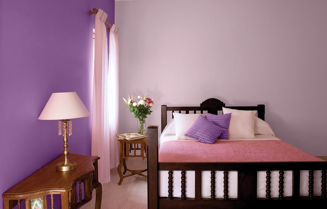 Hall color shop combination asian paints
